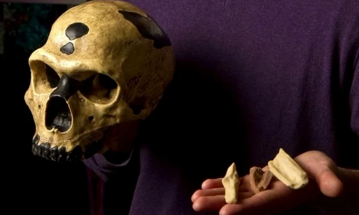 De ce au murit neanderthalienii? Pentru că aveau ochii prea mari! jpeg