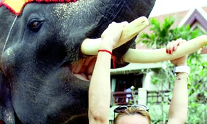 CLIIMA20120109 0134 1 jpeg