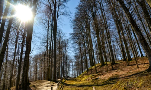 Sarmizegetusa regia  Foto Administrația Sarmizegetusa Regia (4) jpg