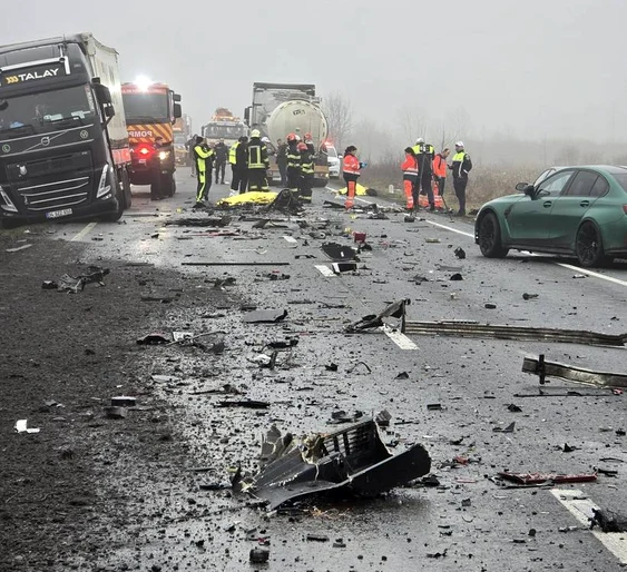 Accident Timiș