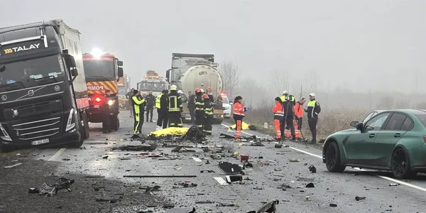 Accident Timiș