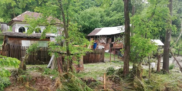 Viituri în comuna Goleşti - Vâlcea Foto Ana-Maria Carstea