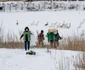 Operaţiunea de salvare a lebedelor de la Galaţi FOTO Sorin Pană