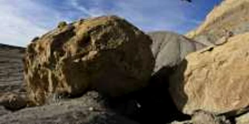 Mountainbike * Foto: Red Bull