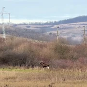 Screenshot 2025 12 10 195609 jpg