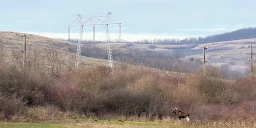 Screenshot 2025 12 10 195609 jpg