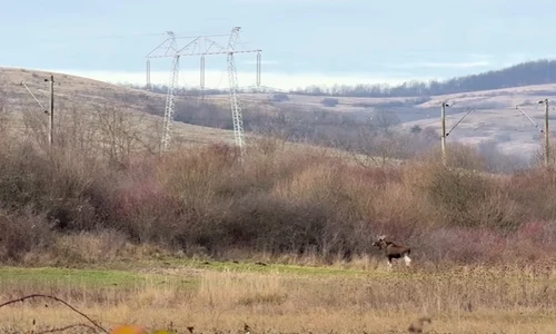 Screenshot 2025 12 10 195609 jpg