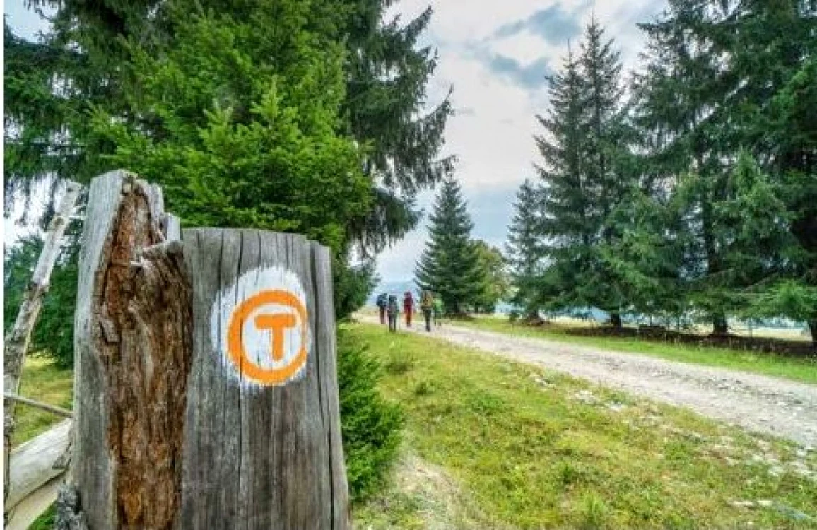 Traseul cultural-turistic va lega Putna de malul Dunării. Foto: viatransilvanica.com