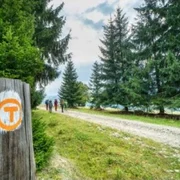 via transilvanica