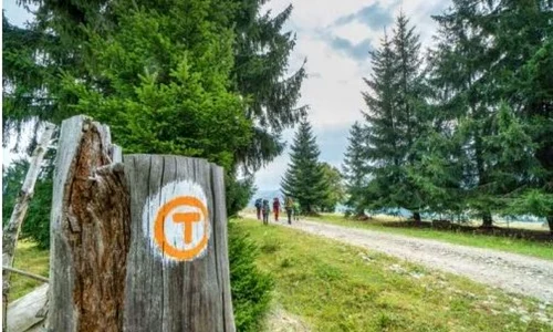 via transilvanica