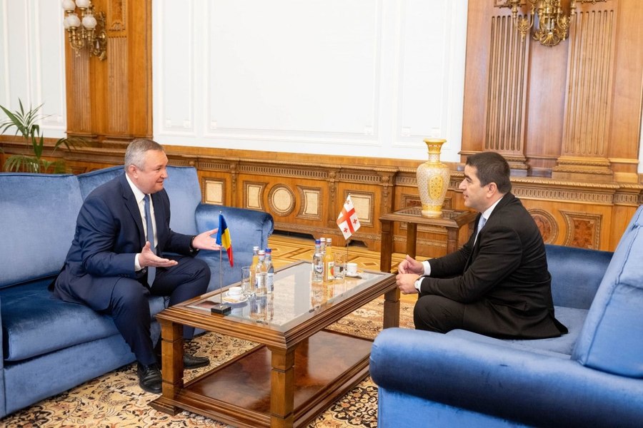 Ciucă, declaraţie comună cu preşedintele Parlamentului Georgiei