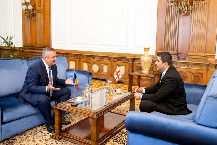 Șeful Senatului român și președintele Parlamentului Georgiei FOTO Facebook