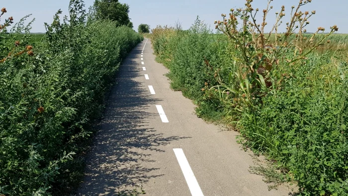 Cum arată pista de biciclete Timişoara-Zrenjanin pe partea sârbească FOTO Bartha Csaba