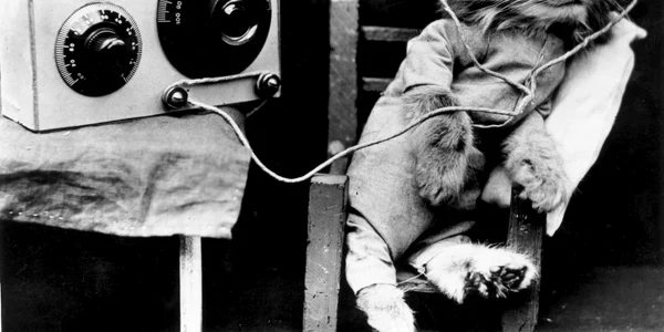 radio pisica getty