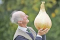 22 23 peglob foto 11 3 col gettyimages 847344032 jpeg