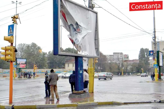 Copacii au fost smulşi din rădăcină şi au distrus maşinile parcate (Foto: Observator de Constanţa)