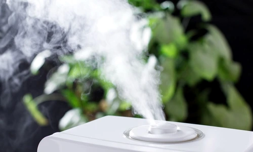 shutterstock 682689646 jpg