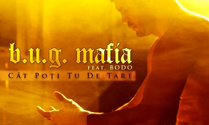 bug mafia bodo jpeg