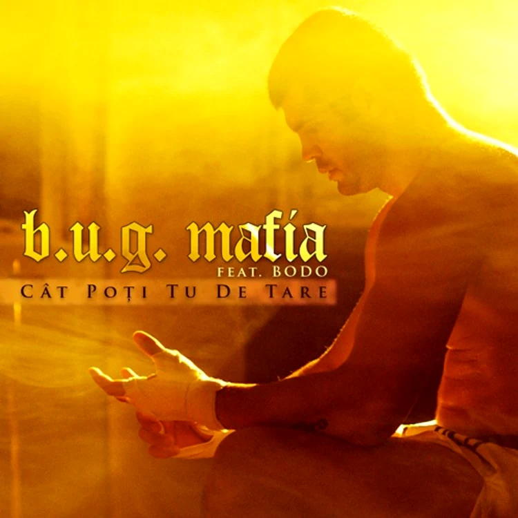 bug mafia bodo jpeg