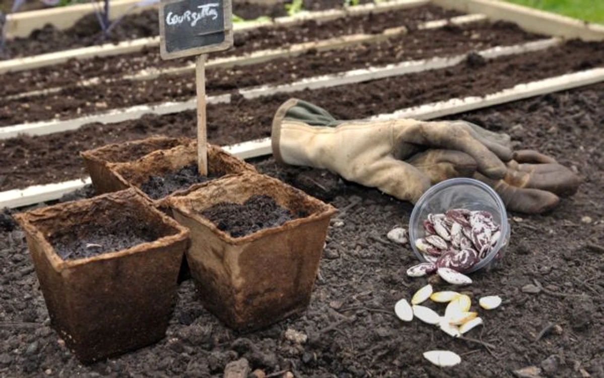 Foto:gardenthymewithdiana.com