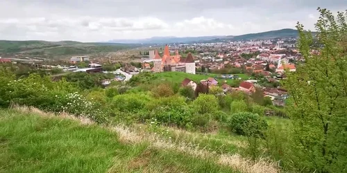 626fd9365163ec4271f7ab3d jpg