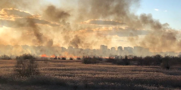 Incendiu Delta Vacaresti FOTO isu