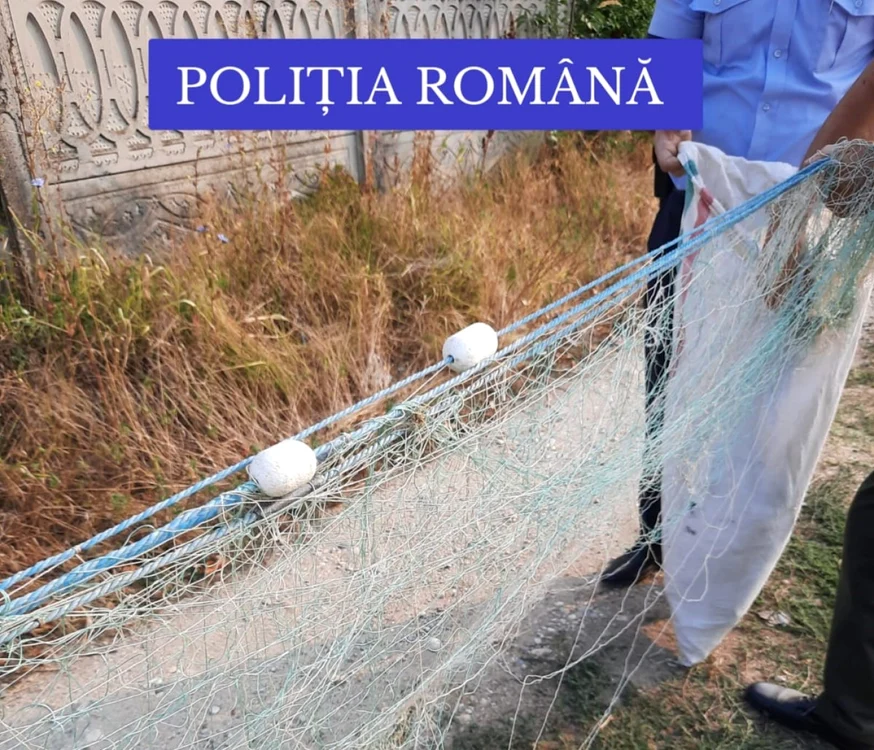 Plasele confiscate se întind pe doi kilometri                                                               Foto: Poliţia Gorj