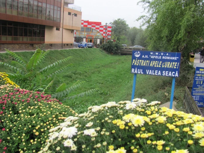 cacaina