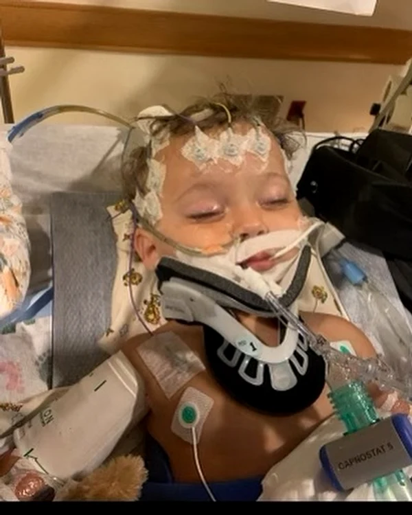 3 sharon stone drama nepotul river a murit la 11 luni jpg jpeg