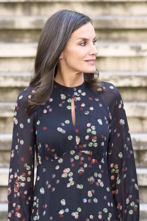 Letizia profimedia 0764459384 jpg
