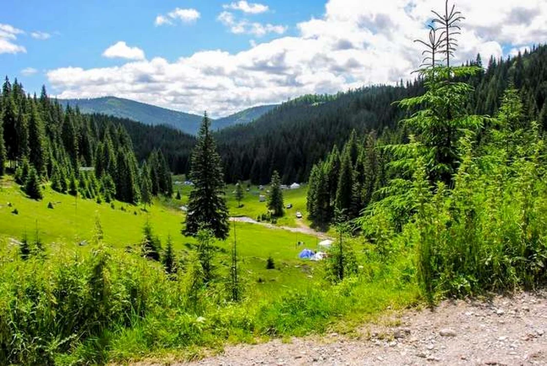 Drumul trece prin zona turistică Padiş. Foto: bihon.ro