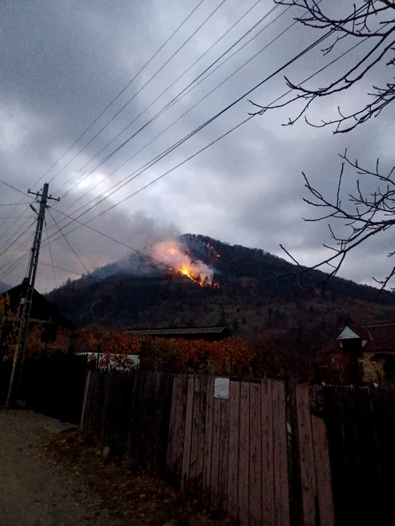 Focul și fumul se vad de la kilometri distanțăSursa foto: ISU Bacău