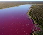 Au colorat laguna Trelew din Argentina in roz pentru a conserva creveţii. FOTO AFP