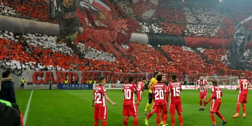 fani dinamo facebook jpeg