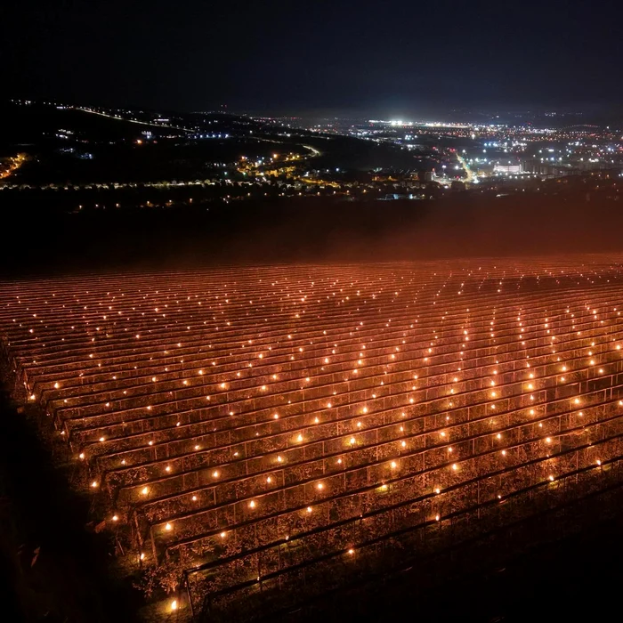 Lumânări aprinse în livadă Foto: FB
