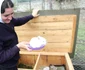 manastire zoo bistrita  3