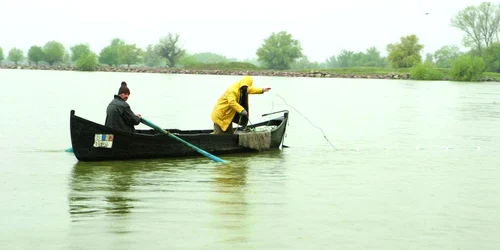 Braconajul practicat în Deltă este un fenomen pe care autorităţile nu-l pot controla.