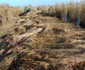 Insula Ceaplace de pe lacul Sinoe din Delta Dunării consolidată pentru pelicanul creţ Sursa ARBDD