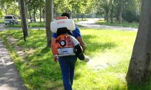 a5e94b12 6b34 4b95 a96d bcf1f1760061 jpeg