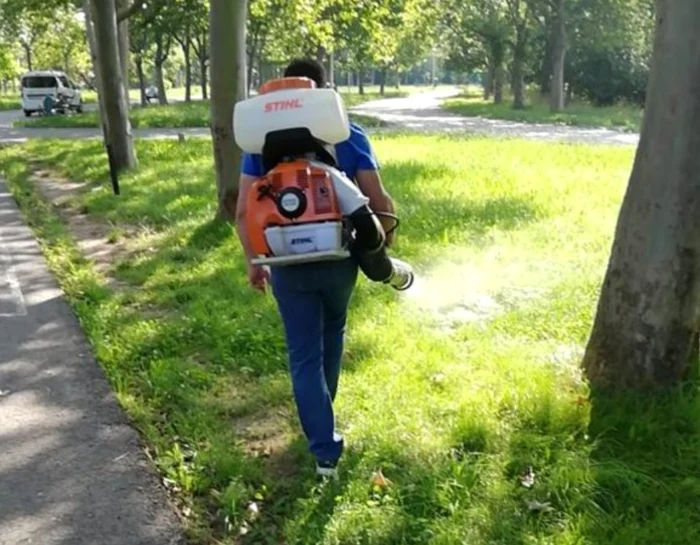 Comandourile Primăriei Capitalei liniștesc bucureștenii: am început să omorâm țânțarii și căpușele