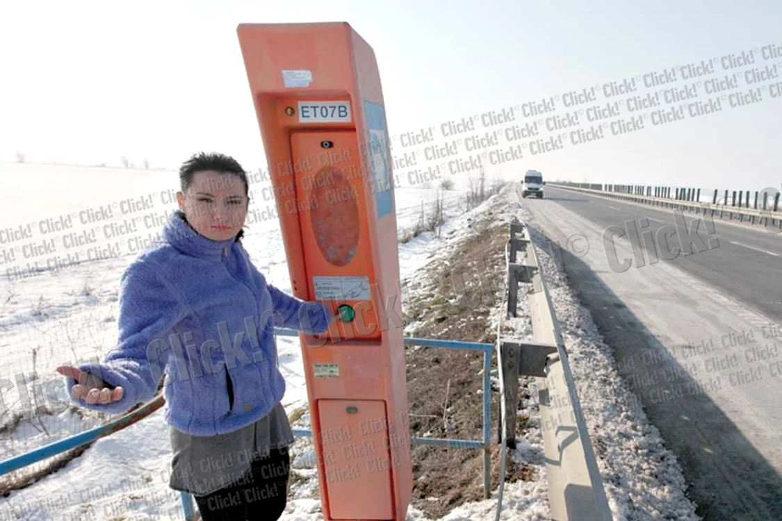 31 ianuarie 2013: Reporterii Click!  au găsit o mulţime  de semnalizatoare  căzute pe marginea  autostrăzii( Fotografii: Roberto Sălceanu )