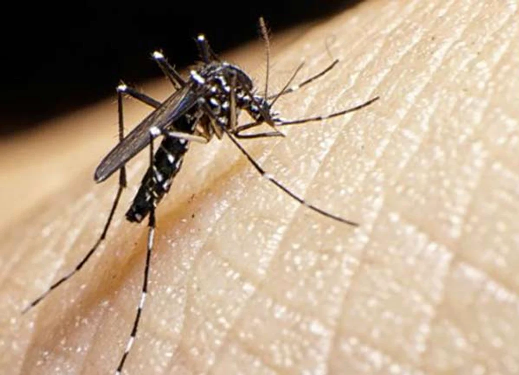 Virusul Zika a ajuns şi în Europa