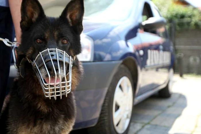 Gop este următorul pe lista neagră