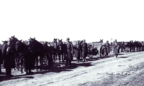„Ai noştri cu tunuri trase de boi în timp ce nemţii se deplasau cu Pantzer wagone” jpeg