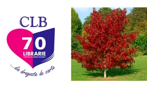 CLB plantează copaci pentru cea de a patra generație de cititori jpeg