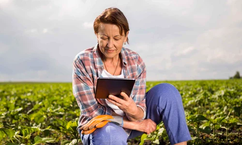 Strategii eficiente pentru maximizarea rentabilității în agricultură jpg
