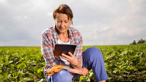 Strategii eficiente pentru maximizarea rentabilita╠åt╠ªii i╠én agricultura╠å jpg