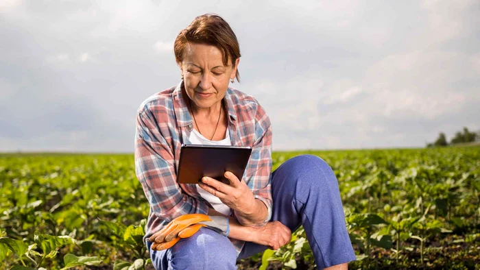 Strategii eficiente pentru maximizarea rentabilității în agricultură jpg