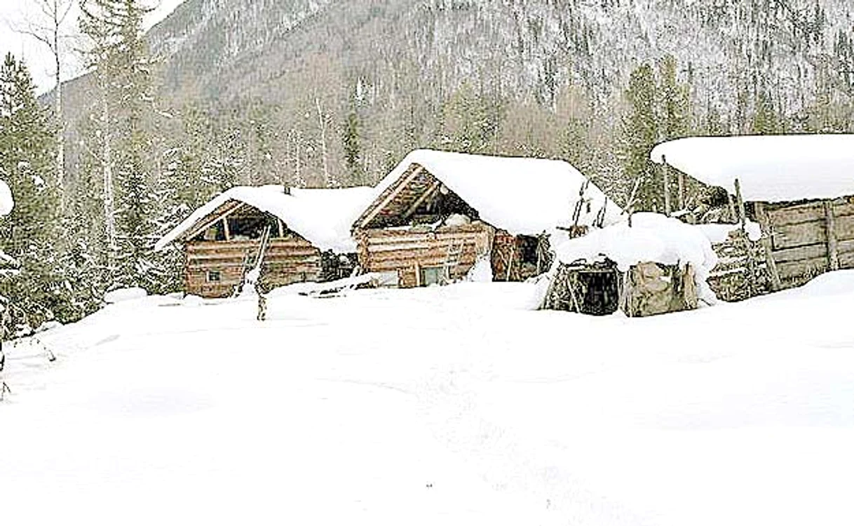 Casele construite de  familia fugită în munţi