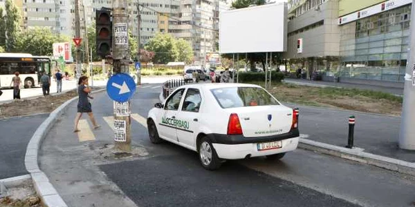 stalp delfinului 